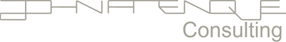 John Arenque Consulting